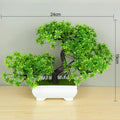 🌿 Mini Bonsai Decorativo – Elegância e Charme Para Qualquer Ambiente! 🌿 - Oult Free