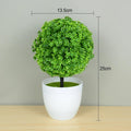 🌿 Mini Bonsai Decorativo – Elegância e Charme Para Qualquer Ambiente! 🌿 - Oult Free