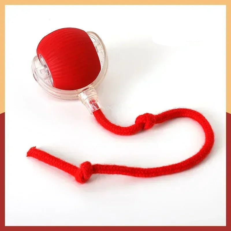 CaçaMóvel - Bolinha Interativa Inteligente - Oult Free