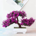 🌿 Mini Bonsai Decorativo – Elegância e Charme Para Qualquer Ambiente! 🌿 - Oult Free