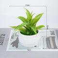 🌿 Mini Bonsai Decorativo – Elegância e Charme Para Qualquer Ambiente! 🌿 - Oult Free