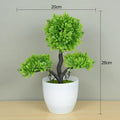 🌿 Mini Bonsai Decorativo – Elegância e Charme Para Qualquer Ambiente! 🌿 - Oult Free