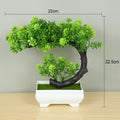 🌿 Mini Bonsai Decorativo – Elegância e Charme Para Qualquer Ambiente! 🌿 - Oult Free