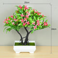 🌿 Mini Bonsai Decorativo – Elegância e Charme Para Qualquer Ambiente! 🌿 - Oult Free
