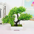 🌿 Mini Bonsai Decorativo – Elegância e Charme Para Qualquer Ambiente! 🌿 - Oult Free
