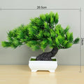 🌿 Mini Bonsai Decorativo – Elegância e Charme Para Qualquer Ambiente! 🌿 - Oult Free